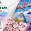 Mùa xuân hoa anh đào Osaka – Kyoto – Nagoya – Núi Phú Sĩ – Tokyo 6N5Đ