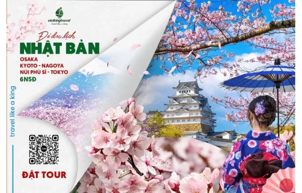 Mùa xuân hoa anh đào Osaka – Kyoto – Nagoya – Núi Phú Sĩ – Tokyo 6N5Đ