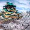 Lâu đài Osaka
