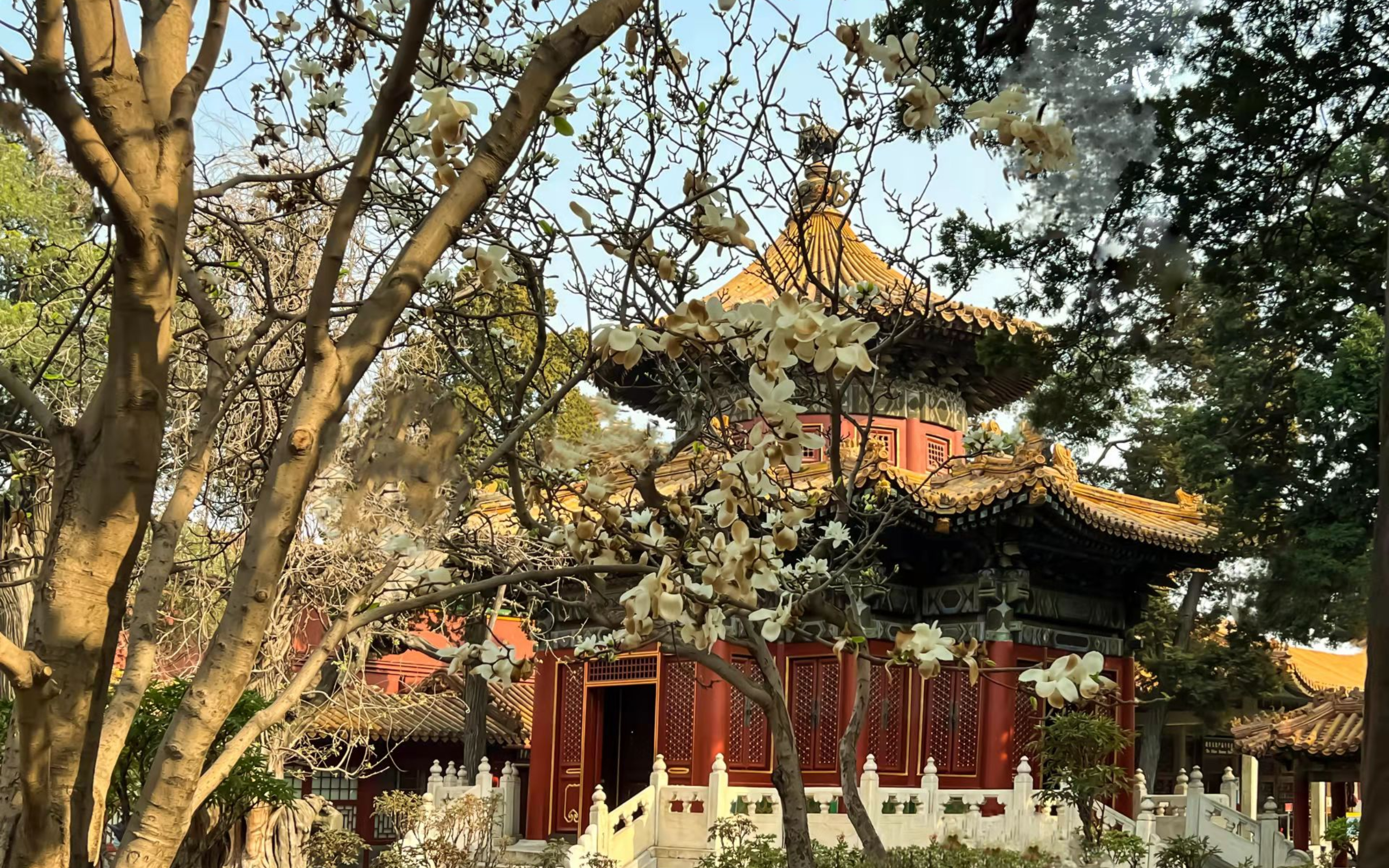 Ngu-Hoa-Vien