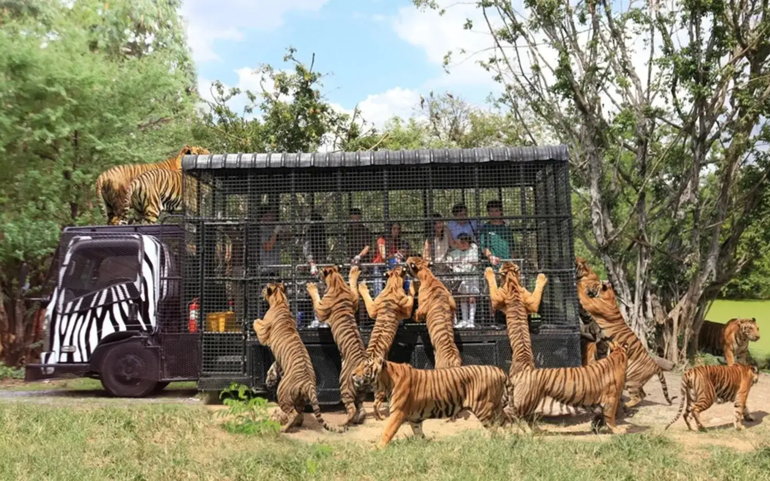 SAFARI-WORLD